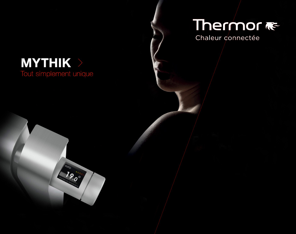Référence Thermor branding creation par agence communication buzznative orléans région centre val de loire